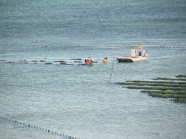  entretien des parcs à moules
